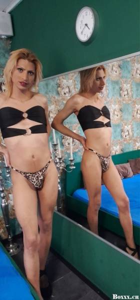 Amriswil | SexABC.ch
