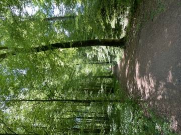 Hemmungsloser Sex ob Outdoor oder indoor  | SexABC.ch