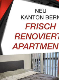 • Tagesmiete ab CHF 120 • Stilvoll eingerichtete, moderne Apartments | SexABC.ch