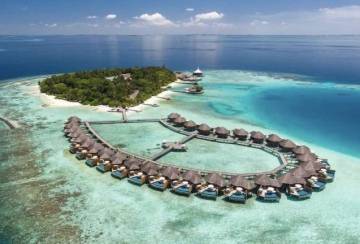 Suche eine Frau  | SexABC.ch