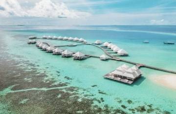 Ferien Begleitung  | SexABC.ch